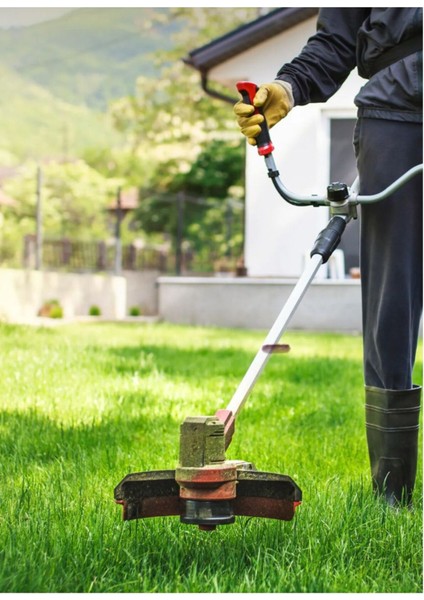 Hızlı Çimlenme Için 7 Günlük Karışım Tohum ve Gübre Seti modelleri