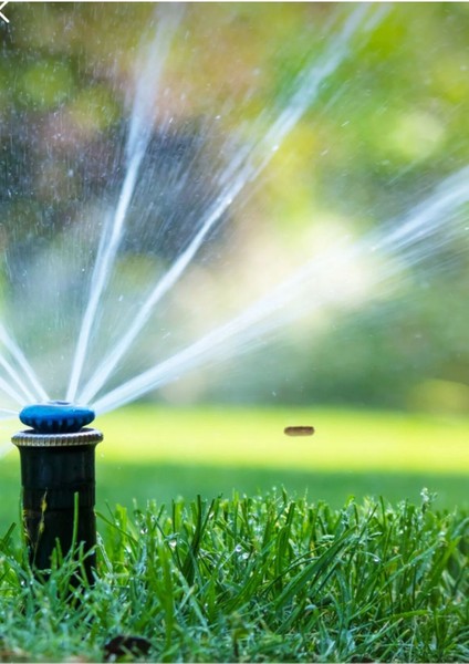 Hızlı Çimlenme Için 7 Günlük Karışım Tohum ve Gübre Seti fırsatları