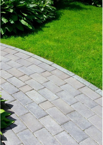 Hızlı Çimlenme Için 7 Günlük Karışım Tohum ve Gübre Seti indirimleri