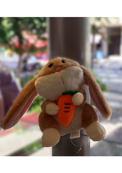 12CM Pelüş Anahtarlık Aksesuar AD86667