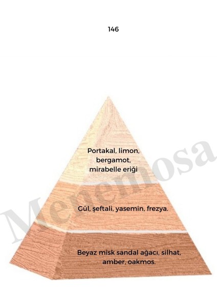 146 + 675 Kadın / Erkek Parfüm Edp 50 ml Floral / Fresh - Mnms50146675 fiyatları