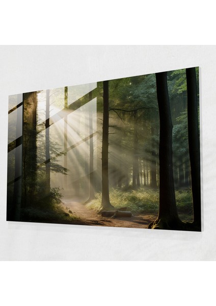 Hipnoz Cam Tablo Sanatı - Hipnoz Cam Tablo Sanatı Hipnoz Rüya Gibi Dünya