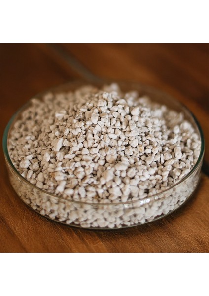 Minerogold Perlit 6l | Doğal Toprak Havalandırıcı ve Su Düzenleyici | Organik Destek fırsatları