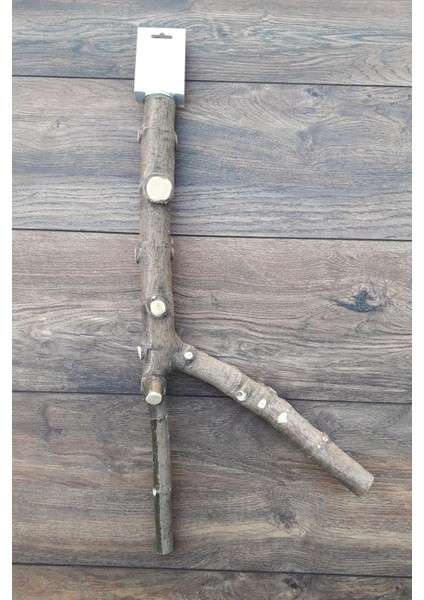 Venty Doğal Papağan Tüneği 51 cm | Macaw, Kakadu, Jako, Amazon, Eklektus, Kayık, Alexander - T586 modelleri