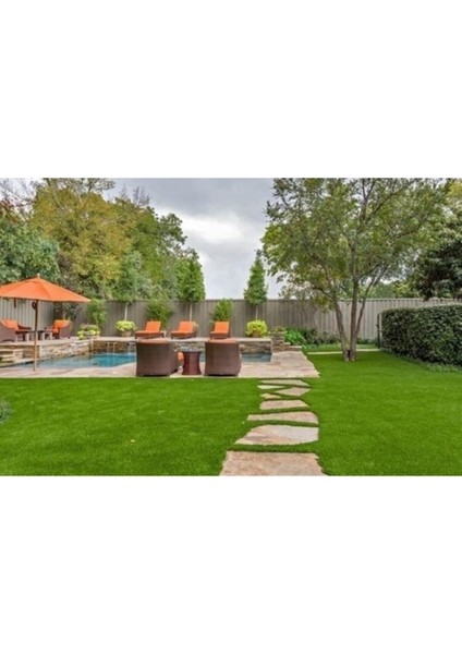 1 kg Bermuda Çimi ve Köpek Dişi Ayrığı Tohumu Seti modelleri