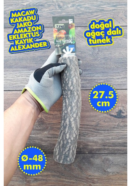 Venty Doğal Papağan Tüneği 27.5 cm / Çapı 48 mm | Kalın Tünek | Macaw, Kakadu, Jako, Amazon, Eklektus, Kayık, Alex. - T509