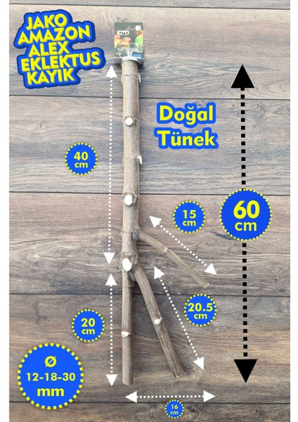 Venty Doğal Papağan Tüneği 60 cm | Dal Tünek | Jako, Amazon, Eklektus, Kayık, Alexander, Konur - T222