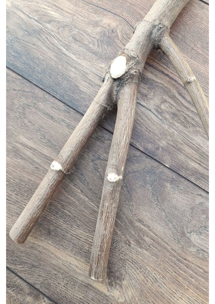 Venty Doğal Papağan Tüneği 60 cm | Dal Tünek | Jako, Amazon, Eklektus, Kayık, Alexander, Konur - T222