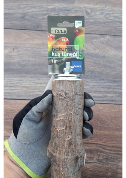 Venty Doğal Papağan Tüneği 58 cm | Macaw, Kakadu, Jako, Amazon, Eklektus, Kayık, Alexander - T220 fırsatları