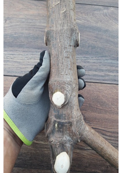 Venty Doğal Papağan Tüneği 58 cm | Macaw, Kakadu, Jako, Amazon, Eklektus, Kayık, Alexander - T220 indirimleri