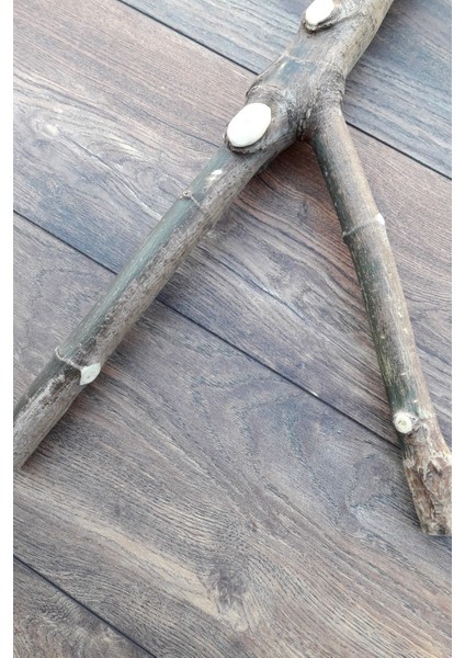 Venty Doğal Papağan Tüneği 58 cm | Macaw, Kakadu, Jako, Amazon, Eklektus, Kayık, Alexander - T220