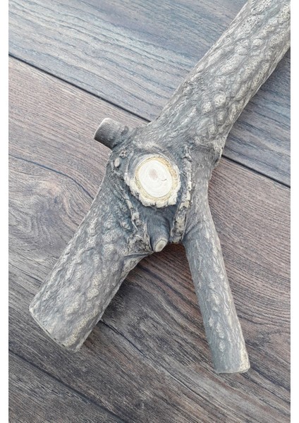 Venty Doğal Papağan Tüneği 36.5 cm / Çapı 43 mm | Kalın Tünek | Macaw, Kakadu, Jako, Amazon, Eklektus, Kayık, Alex. - T463