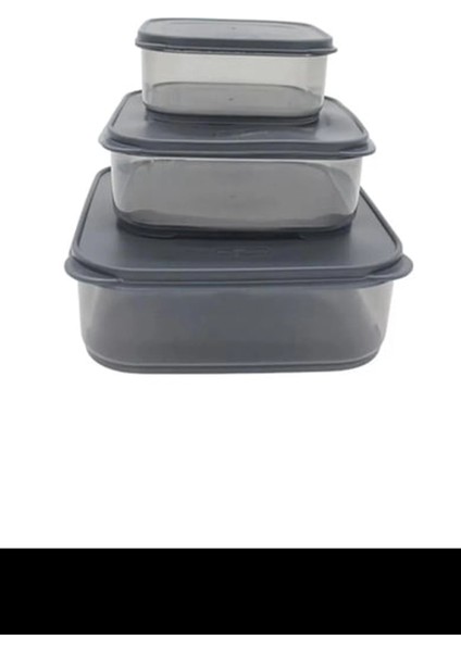 3'lü Yatay Füme Renk Saklama Kabı ROYALEKS-VİV-OX258