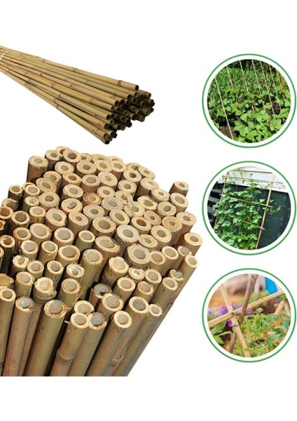 15 Adet Uzun Bitki Destekleri, 130-140 Cm, Sağlam ve Dayanıklı