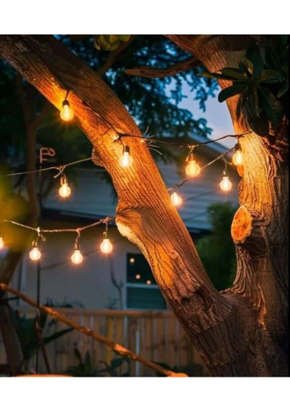 Sarmaşık Dış Mekan LED Işık 5 Metre 10'lu Siyah Renk