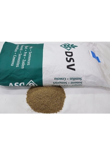 Yüksek Kaliteli 1 kg Ingiliz Çimi Tohumu, Sağlıklı ve Dönemsel Kullanım modelleri