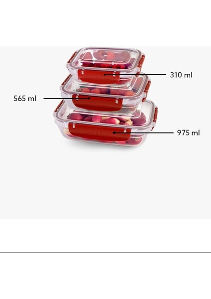 Master Dikdörtgen Saklama Seti 3'lü 310-565-975 ml ROYALEKS-30886