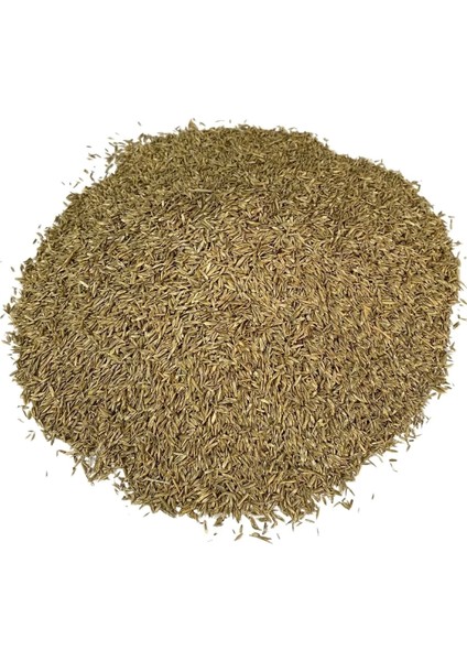 6 Karışımlı Çim Tohumu 2.5 Kg, Bahçe ve Çim Bakımı Için Kaliteli Seçenek fiyatları