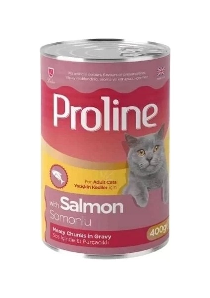 Proline Sos Içinde Et Parçacıklı Somonlu Yetişkin Konserve Kedi Maması 400 gr