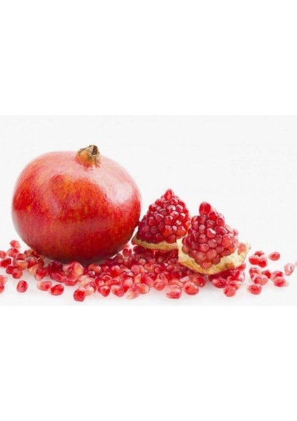 Tüplü Nar Fidanı, Sağlıklı ve Verimli Meyve Ağacı, Bahçe Için Idealdir