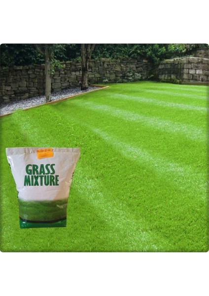 6 Farklı Çim Tohumu Karışımı 2 Kg, Sağlıklı ve Yeşil Bahçe Için Ideal Seçim fiyatları