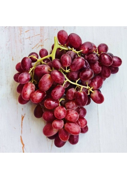 Iki Adet Kırmızı Küre Üzüm Fidanı, 1,5 Yaş, Sağlıklı ve Verimli Seçenekler