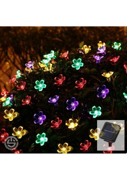 Renkli Güneş Enerjili Çiçekli 30 Ledli Dekoratif Işık
