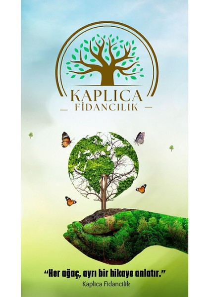 Yoğun Kokulu Hanımeli Tüplü Fidanı, Bahçe ve Süs Bitkisi indirimleri