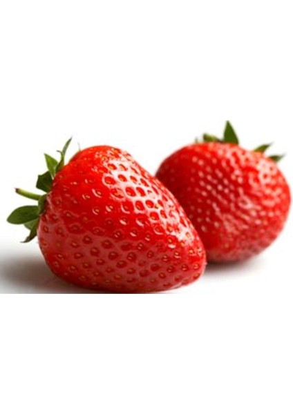 50 Adet Aramos Çilek Fidesi Açık Kök, Bahçe ve Balkon Için Taze Meyve Fidesi