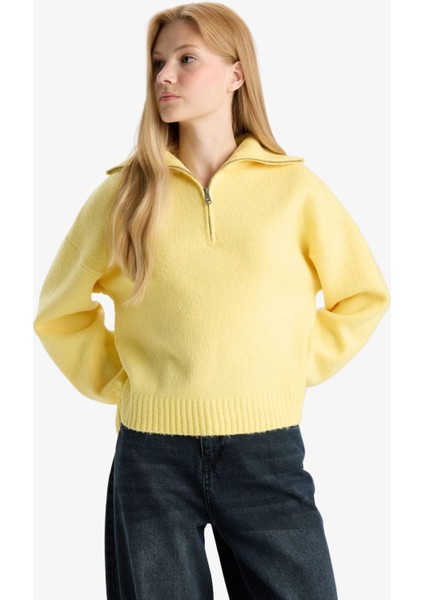 Oversize Geniş Kalıp Yarım Fermuarlı Dik Yaka Triko Kazak A8180AX25WN fırsatları