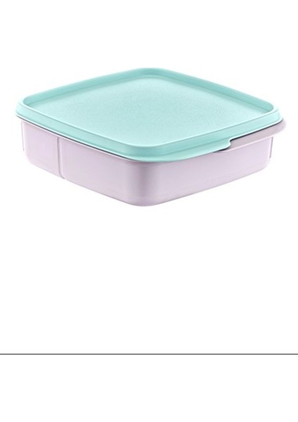 Bölmeli Saklama Kabı ROYALEKS-AK540