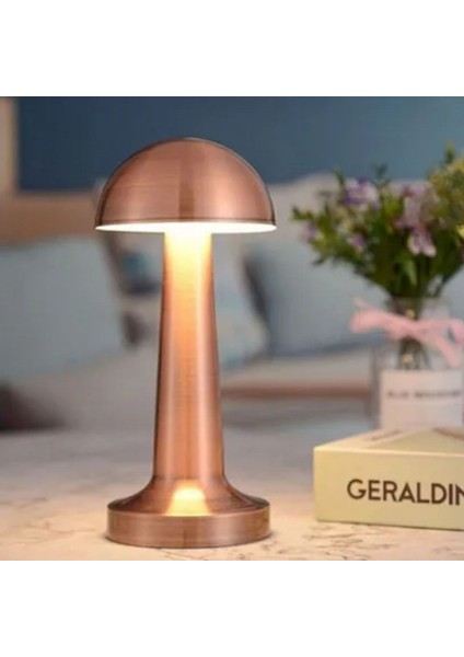 Mantar Model Bronz Renk Şarjlı Dokunmatik 3 Renkli LED Masa Lambası (2818) fırsatları
