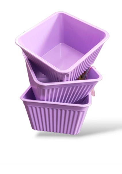 3'lü Kare Çerezlik ROYALEKS-540