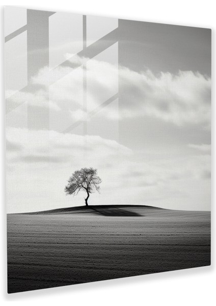 Minimalist Siyah ve Beyaz Cam Tablo - Lenticular Cam Duvar Sanatı Duvar Dekorasyonu