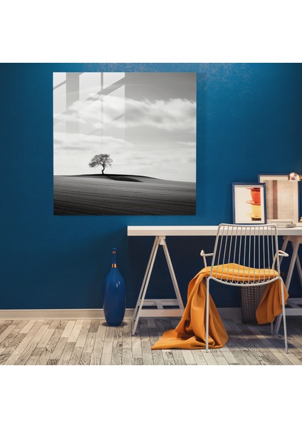 Minimalist Siyah ve Beyaz Cam Tablo - Lenticular Cam Duvar Sanatı Duvar Dekorasyonu fiyatları