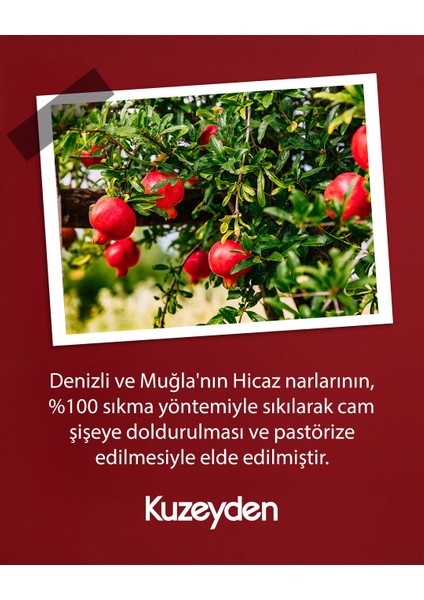 %100 Sıkma Nar Suyu (12X250 Ml) fırsatları
