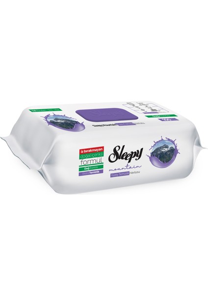 Yüzeytemizlik Havlusu Dağ Esintisi 100 Yaprak