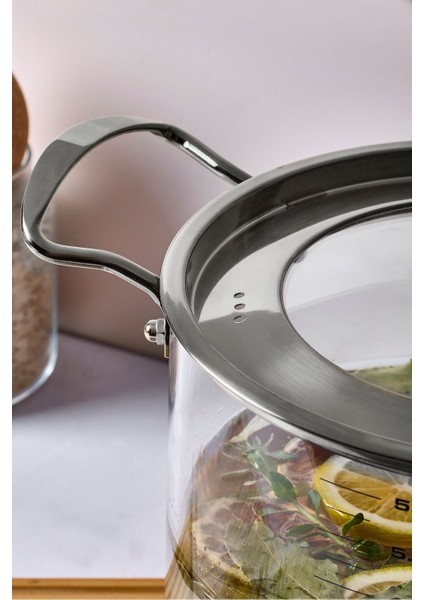 Logan Silver Kapaklı 5,5 L Cam Tencere 20X20 cm modelleri