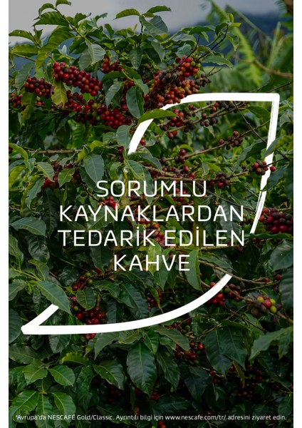 Dolce Gusto Lungo Kapsül Kahve %100 Arabica - Zengin Aroma, Dolce Gusto Makineleriyle Uyumlu, 16 Adet