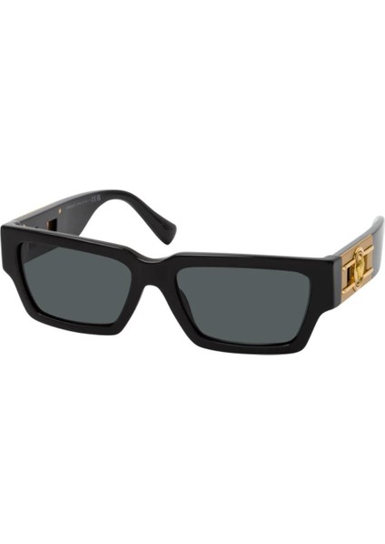 0VE4459 GB1/87 54 Unisex Güneş Gözlüğü