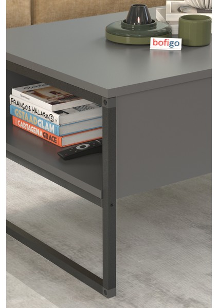 Orta Sehpa Yan Sehpa Dekoratif Sehpa Metal Sehpa Zeus Antrasit indirimleri