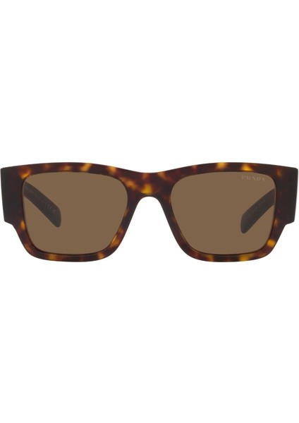 0PR 10ZS 2AU06B 54 Güneş Gözlüğü fiyatları