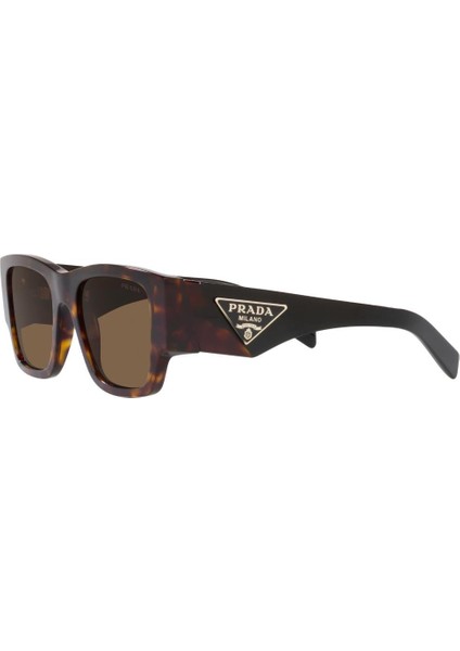 0PR 10ZS 2AU06B 54 Güneş Gözlüğü fırsatları