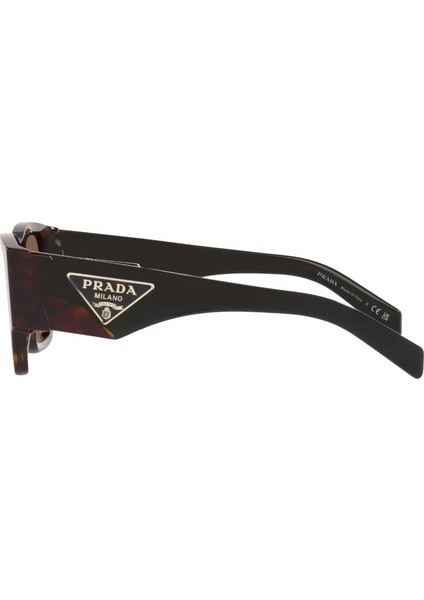 0PR 10ZS 2AU06B 54 Güneş Gözlüğü indirimleri