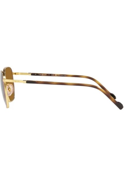 0VO4257S 280/83 52 Unisex Güneş Gözlüğü modelleri