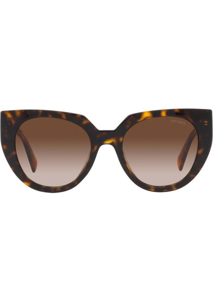 0PR14WS 2AU6S1 52-20 fiyatları