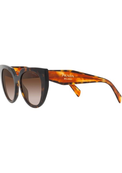 0PR14WS 2AU6S1 52-20 fırsatları