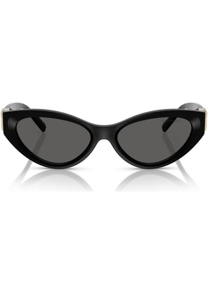 Tf 4225U 8001S4 54 Tiffany Kadın Güneş Gözlüğü