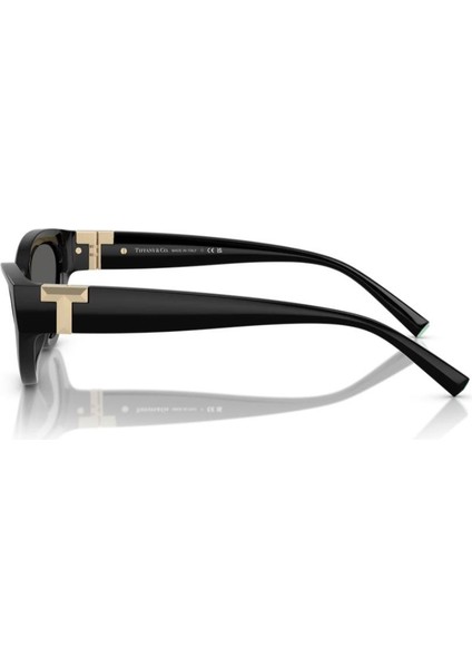 Tf 4225U 8001S4 54 Tiffany Kadın Güneş Gözlüğü fırsatları