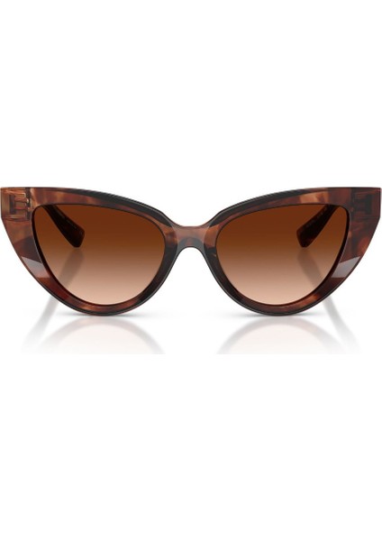 0 DG 4497 322274 52 Kadın Güneş Gözlüğü fiyatları